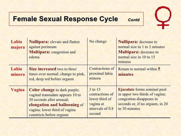 Average female sex drive